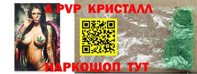 шишки Новодвинск