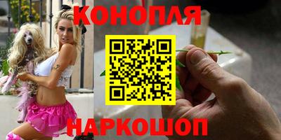 МДПВ Новокубанск