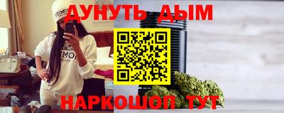 шишки Новодвинск