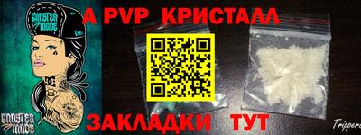 шишки Новодвинск
