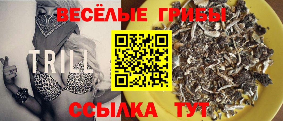 Галлюциногенные грибы прущие грибы Ступино