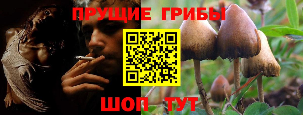 Галлюциногенные грибы ЛСД  Псилоцибиновые грибы MAGIC MUSHROOMS  Вход с VPN  Ступино 